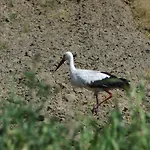 Mazurski Raj - Komfortowy Dom Nad Jeziorem