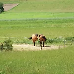 Apartman Mazurski Raj - Komfortowy Dom Nad Jeziorem Kuty