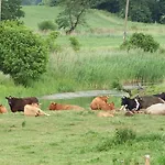 Mazurski Raj - Komfortowy Dom Nad Jeziorem Apartman Kuty