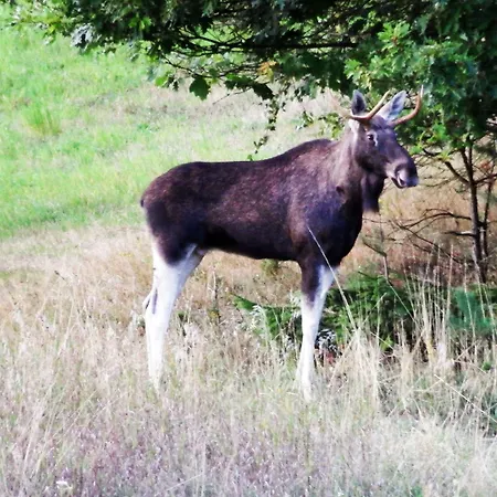 Apartamento Mazurski Raj - Luksusowa Turystyka *