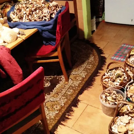 Mazurski Raj - Luksusowa Turystyka Kuty