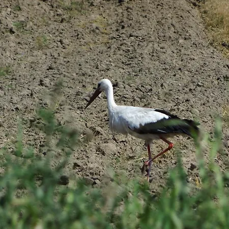 Mazurski Raj - Luksusowa Turystyka